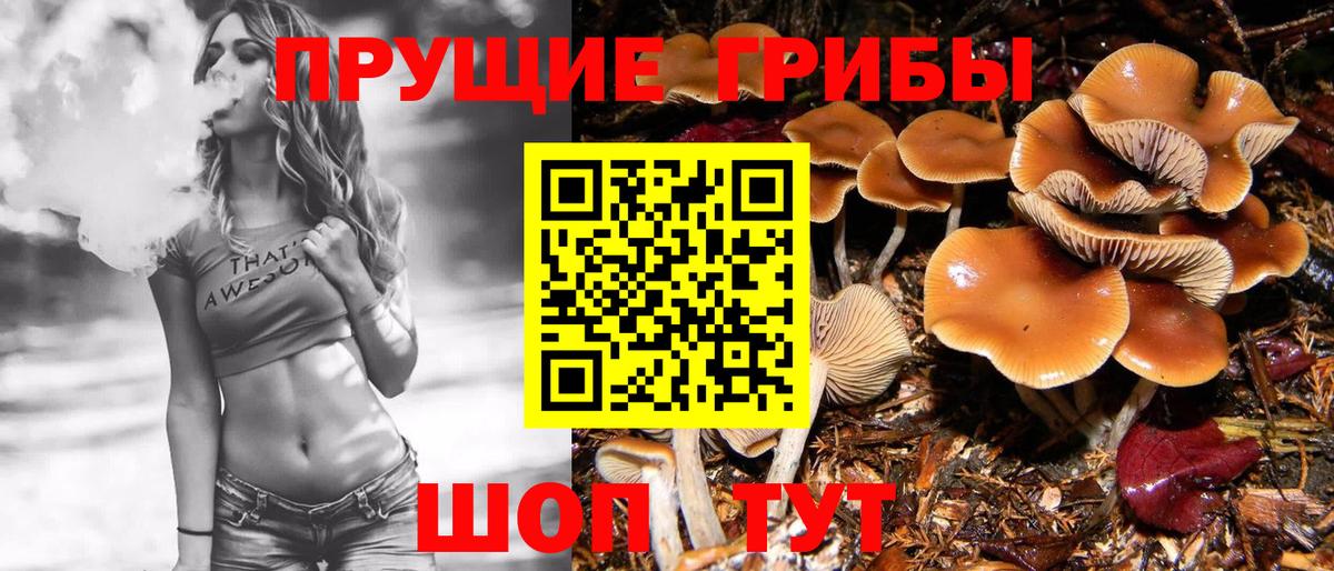 Галлюциногенные грибы Psilocybe Чехов